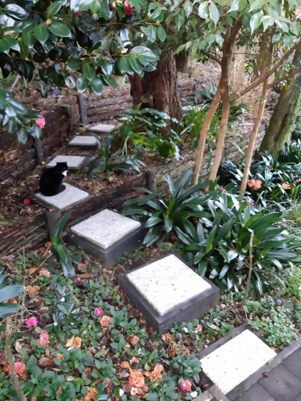 Sequoia Steps Panzió New Plymouth Kültér fotó