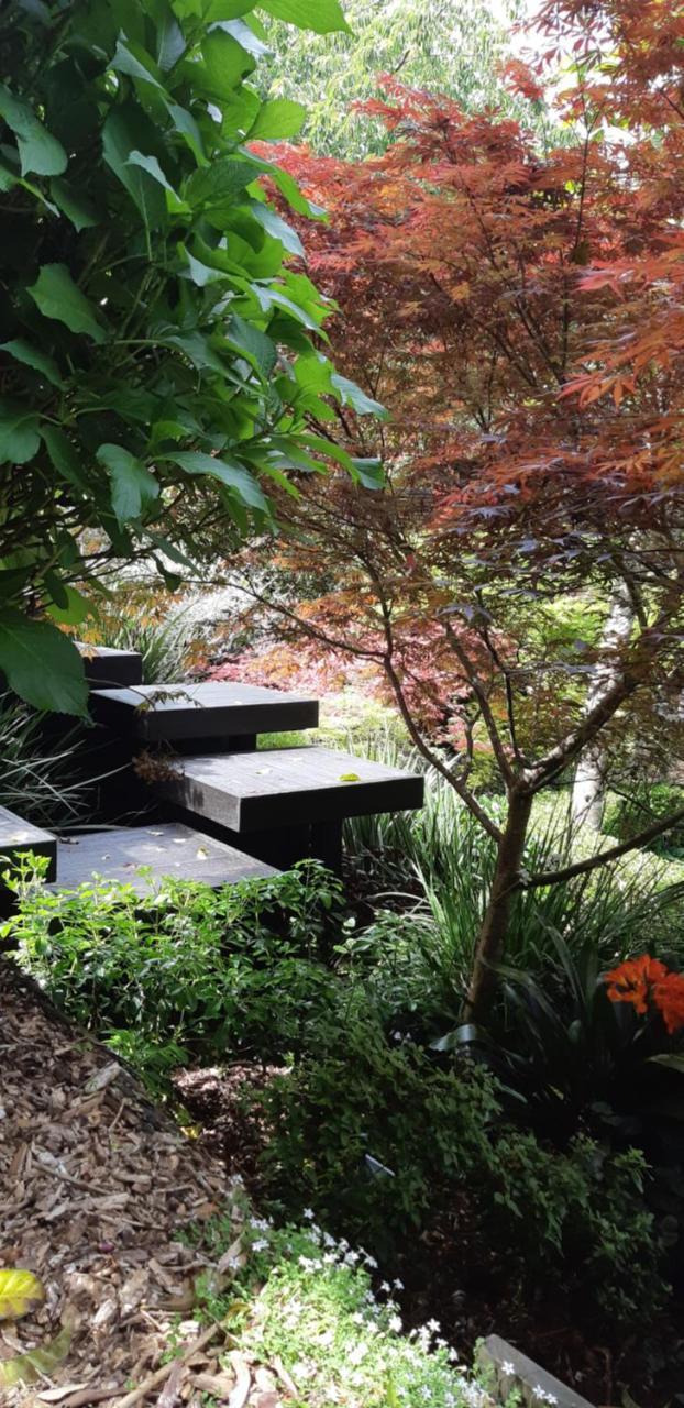 Sequoia Steps Panzió New Plymouth Kültér fotó